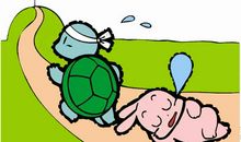 乌龟和兔子