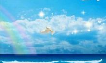 走遍天下花为侣