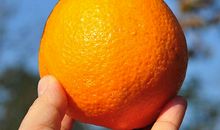 单手剥橘子比赛