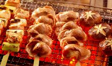 一次有趣的烧烤