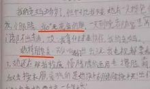 关于分数的作文