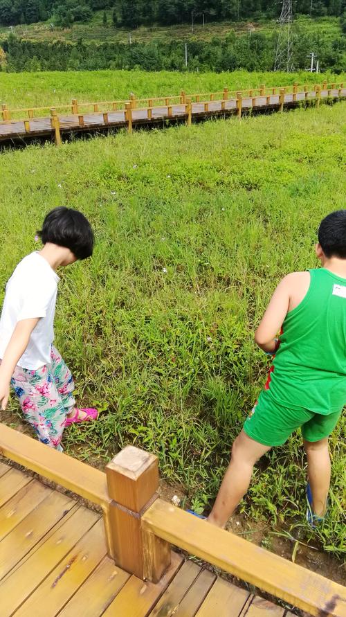 丰富多彩的乡村生活