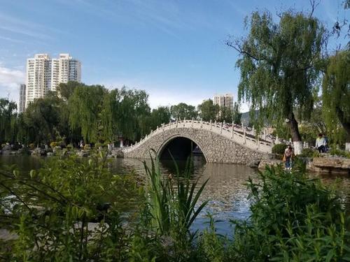 夏天的笔记