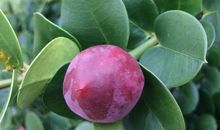 一个下雨的早上