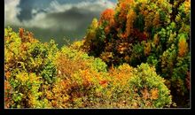 美丽的家乡四季