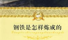 钢铁是怎样炼成的