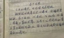 什么让我成长作文