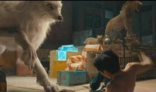 此生有幸能成为你的读者