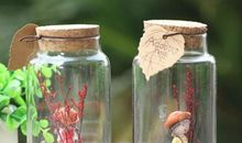 我把秋天装进了玻璃瓶