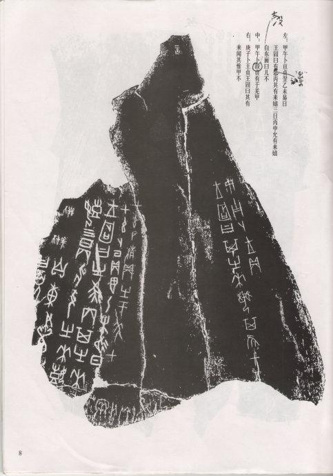 秘密人参果