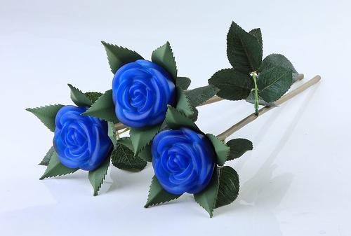 永不褪色的玫瑰