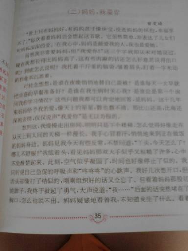 体验母亲的怀孕组成
