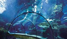 游玩南京的海底世界