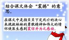 读《平分生命》有感