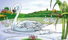 从丑小鸭到白天鹅