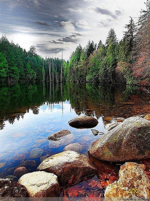 我眼中的美丽风景