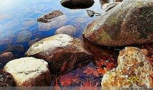 我眼中的那一道赏心悦目的风景