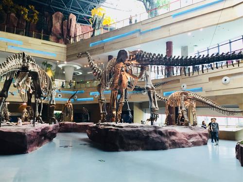 浙江展览馆精彩之旅