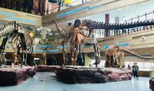 浙江展览馆奇妙之旅