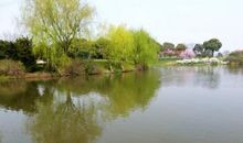 春风又绿小山村