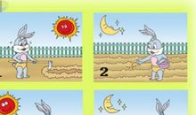 看图写话不爱护眼睛的小兔