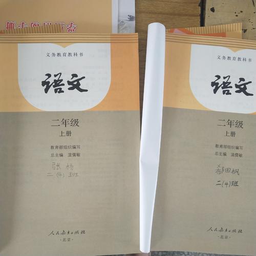 我的好伴侣书