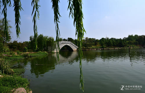 逸爱湖公园的四个季节