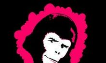 请不要拒绝个性