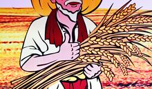 我深深地感受到丰收的喜悦