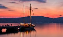 离开港湾，成就自我