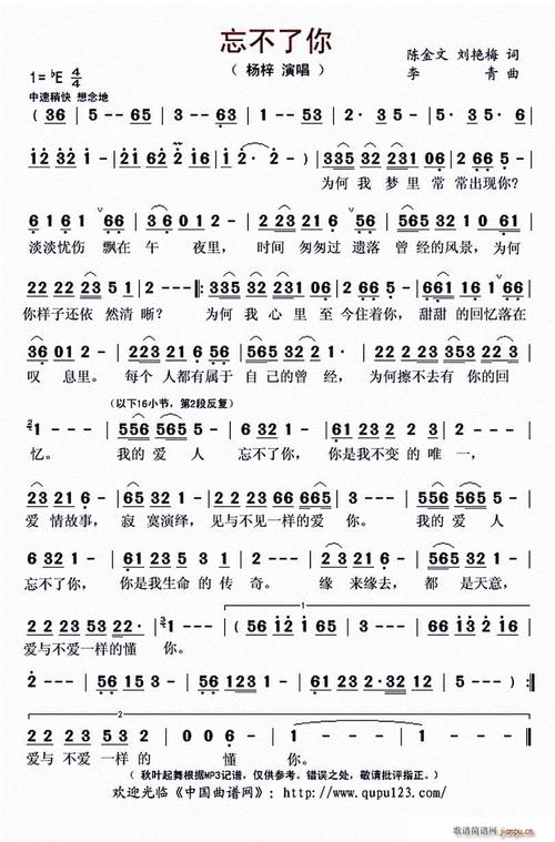 不能忘记你的话