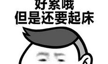 假如是假的