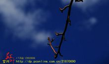 我还想做秋风的孩子