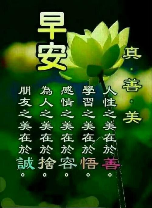 生活要坚强