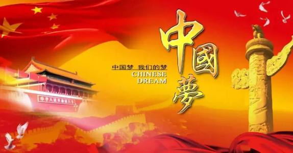 为了我内心的理想