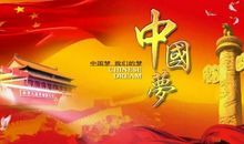 为了心中的理想