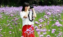 我们的青春花海