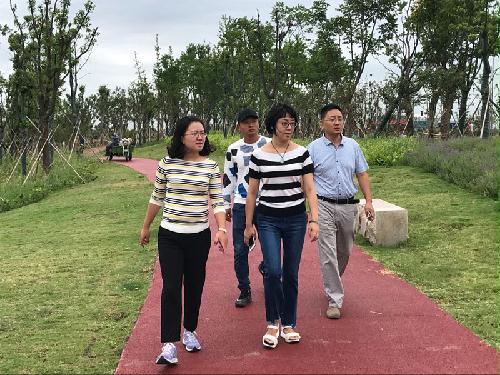 参观武武路