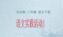 记一次语文实践活动