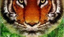 我与动物的一次接触