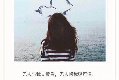 让友谊留在我心中