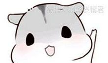 来自仓鼠的告白