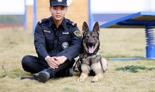 无声的清洁卫士