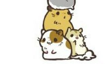 调皮可爱的小仓鼠