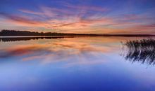 宽容，人生的风景