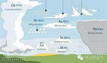 云儿朵朵在我心