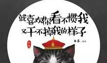 这件事，我看不惯