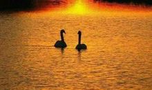 难忘那沉静的感觉