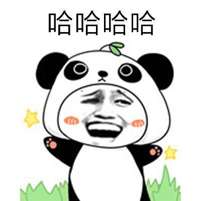 机智的我