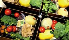 悠闲的田园生活